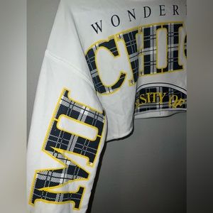 Michigan University Cropped Sweater